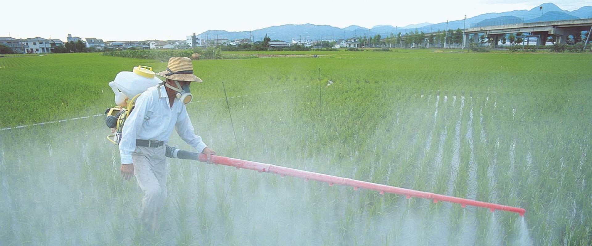 Insecticides and Sprays: A Comprehensive Overview