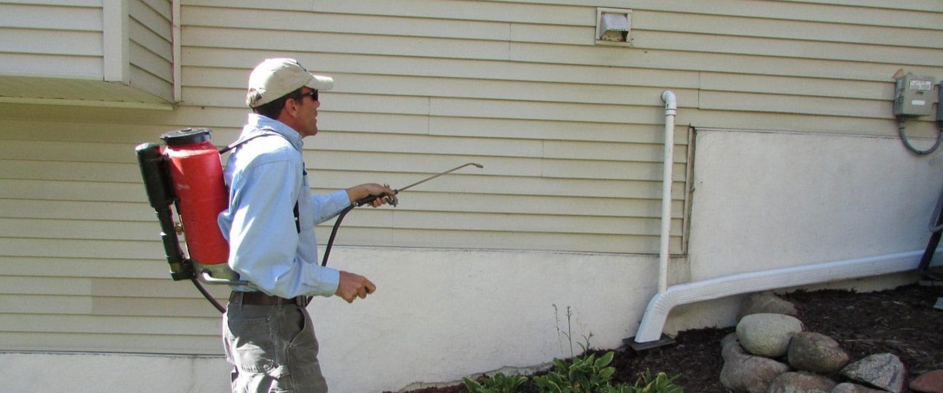 Insecticides and Sprays for Home Pest Control