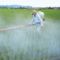 Insecticides and Sprays: A Comprehensive Overview