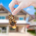 DIY Methods for Home Pest Extermination