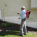 Insecticides and Sprays for Home Pest Control