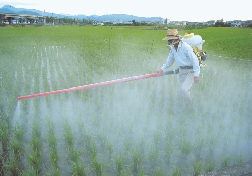 Insecticides and Sprays: A Comprehensive Overview